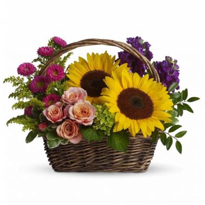 Send this colorful gift basket of flowers to your favorite garden lover or flower-loving grandmother. Like a miniature summer garden, the fresh cut flowers will brighten her kitchen counter, bedside table, coffee table...any of her favorite places!

Large yellow sunflowers, peach roses, purple stock, miniature green hydrangea, and hot pink matsumoto asters are presented in a rectangular handled basket.
Greens include solidago, huckleberry and variegated pittosporum.