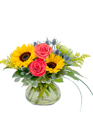 Pocketful of Sunshine