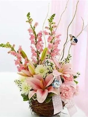 Welcome to the World - Pink