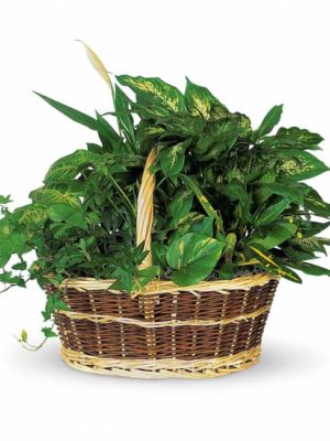 Bountiful Garden Basket