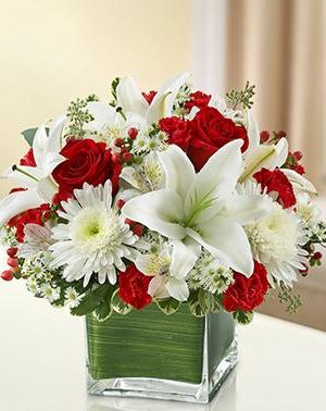 Healing Hope-Red & White