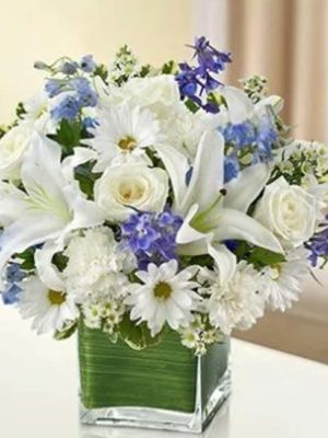 Healing Hope-Blue & White