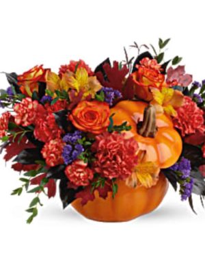 Autumn's Pumpkin Pilgrimage