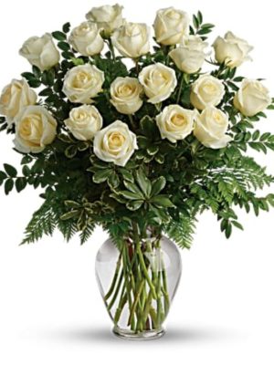 White Roses