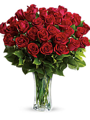 Love & Devotion Long Stem Roses