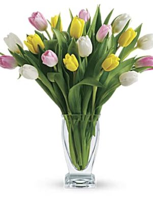 Tulip Treasure