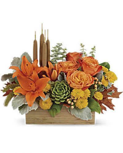 <div id="mark-1" class="m-pdp-tabs-marketing-description">Enjoy the serenity of the season with a fresh fall centerpiece that is as beautiful as it is soothing. This lush arrangement enchants in shades of peach, orange and green - combining roses, lilies and even a succulent plant! Hand-delivered in a natural-toned bamboo rectangle.</div>
&nbsp;
<div id="desc-1">
<ul>
 	<li>This gorgeous centerpiece arrangement features orange roses, orange asiatic lilies, yellow cushion spray chrysanthemums, peach hypericum, millet, cattails and a succulent plant, and finished with dusty miller, spiral eucalyptus and lemon leaf.</li>
 	<li>Delivered in a rectangular wooden box.</li>
</ul>
</div>
