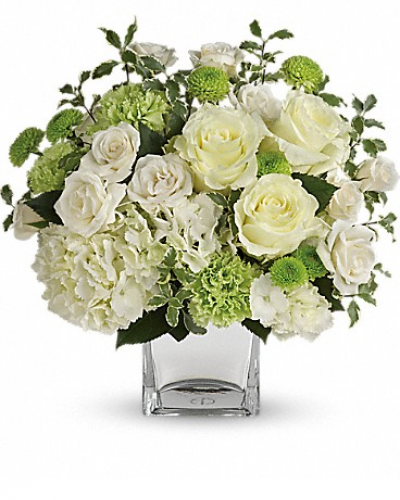 <div class="m-pdp-tabs-description">
<div id="mark-1" class="m-pdp-tabs-marketing-description">Let your love shine! No matter the recipient or the occasion, this stunning monochromatic mix of hydrangea and roses, hand-delivered in a silver cube, is destined to delight and inspire.</div>
</div>
<p id="arrngDescp">This bouquet of blooms includes white hydrangea, white roses, white spray roses, green carnations, green button spray chrysanthemums and pitta negra.</p>