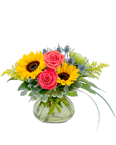 Send sunlit splendor with bright but warm colors of sunflowers, roses and assorted accent flowers.