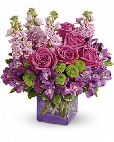 <div class="m-pdp-tabs-description">
<div id="mark-3" class="m-pdp-tabs-marketing-description">Sweet as can be! Hand-delivered in a chic lavender cube, this marvelous mix of jewel toned blooms is a touching way to celebrate someone special on their birthday or any day.</div>
</div>
<p id="arrngDescp">Lavender roses, purple alstroemeria, light pink stock and green button spray chrysanthemums are accented with variegated pittosporum. Delivered in a lavender cube vase.</p>