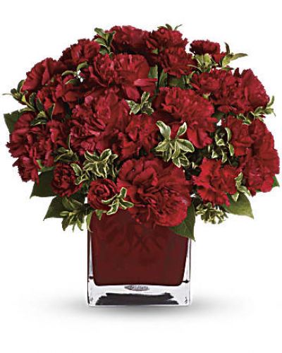 Simply speaking, red means romance. Send this bouquet of vibrant red carnations to your sweetheart and you'll convey passion, energy and desire. Remember also that you're sending not one gift but two: gorgeous flowers and a colorful cube vase.
A mix of red carnations and red miniature carnations is delivered in a red glass cube vase.