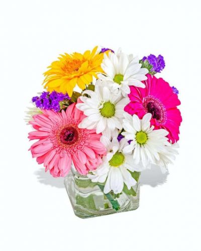<p>What a wonderful dash of color this arrangement is! Featuring white daisies and an assortment of vibrant Gerbers, this beautifully cute combination of colors will brighten anyone's day! Let someone know how much they mean to you with this simply gorgeous gift.</p>